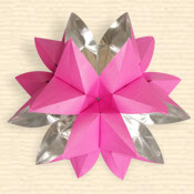 Kusudama 'Floral Coral'