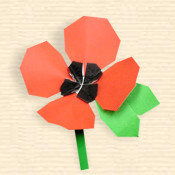 Simple Poppy