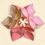 Chinese Dogwood Kusudama