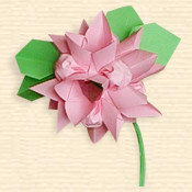 Kusudama 'Jasmine'