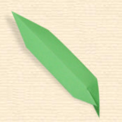 Lancet Leaf