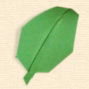 Oval Leaf